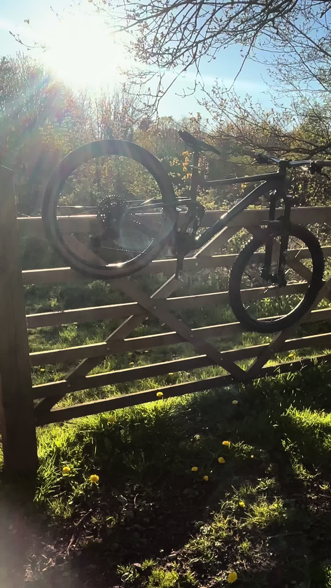 @𝐂𝐡𝐚𝐫𝐥𝐢𝐞