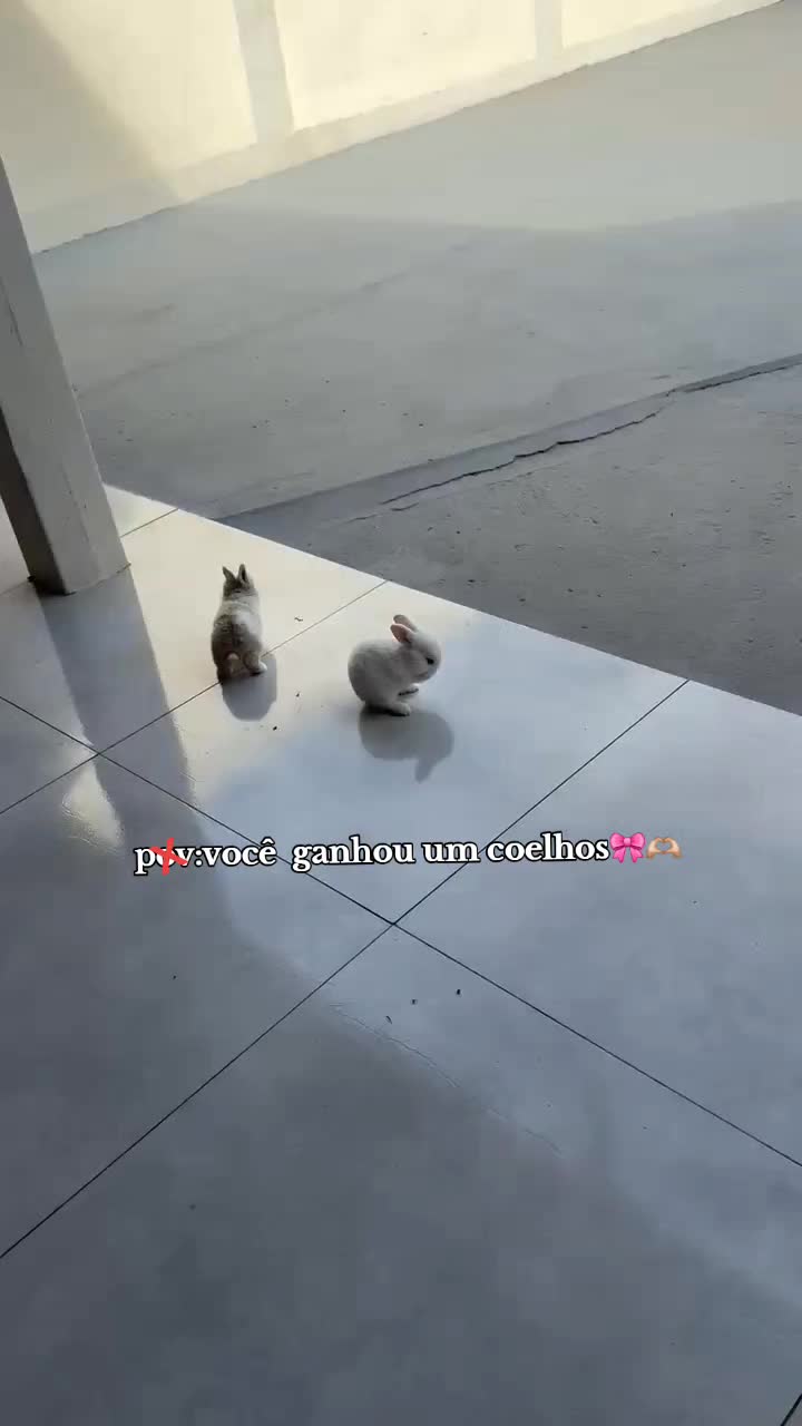 @𓆩𝒉𝒆𝒍𝒐𓆪
