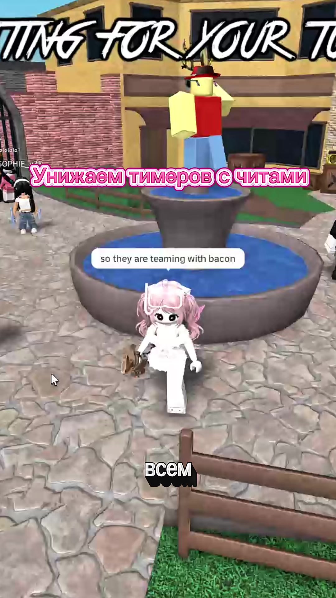 @mislankie