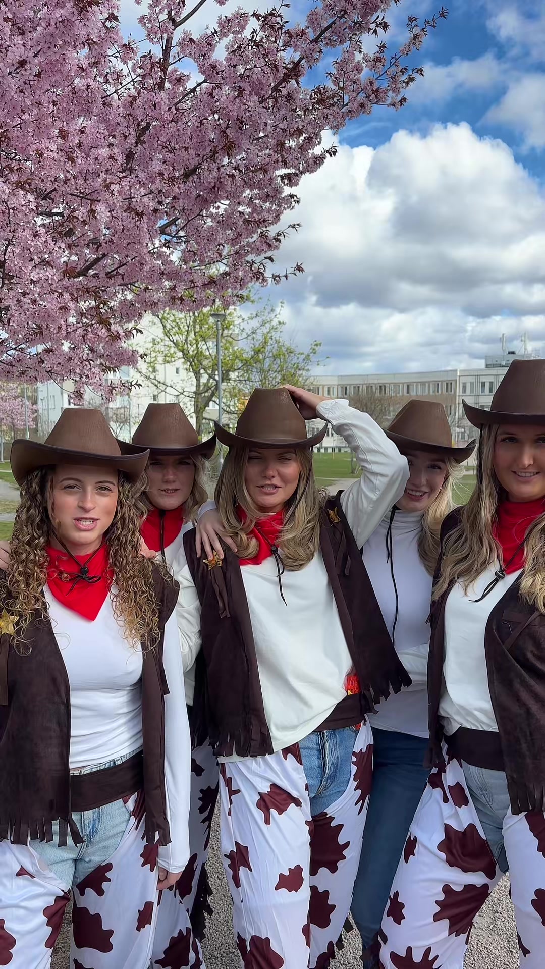 @teamårlid