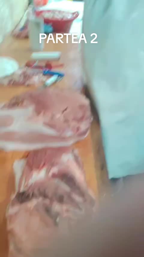 @bebe_matzi