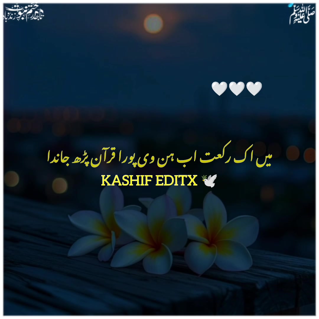 @Ali Shan