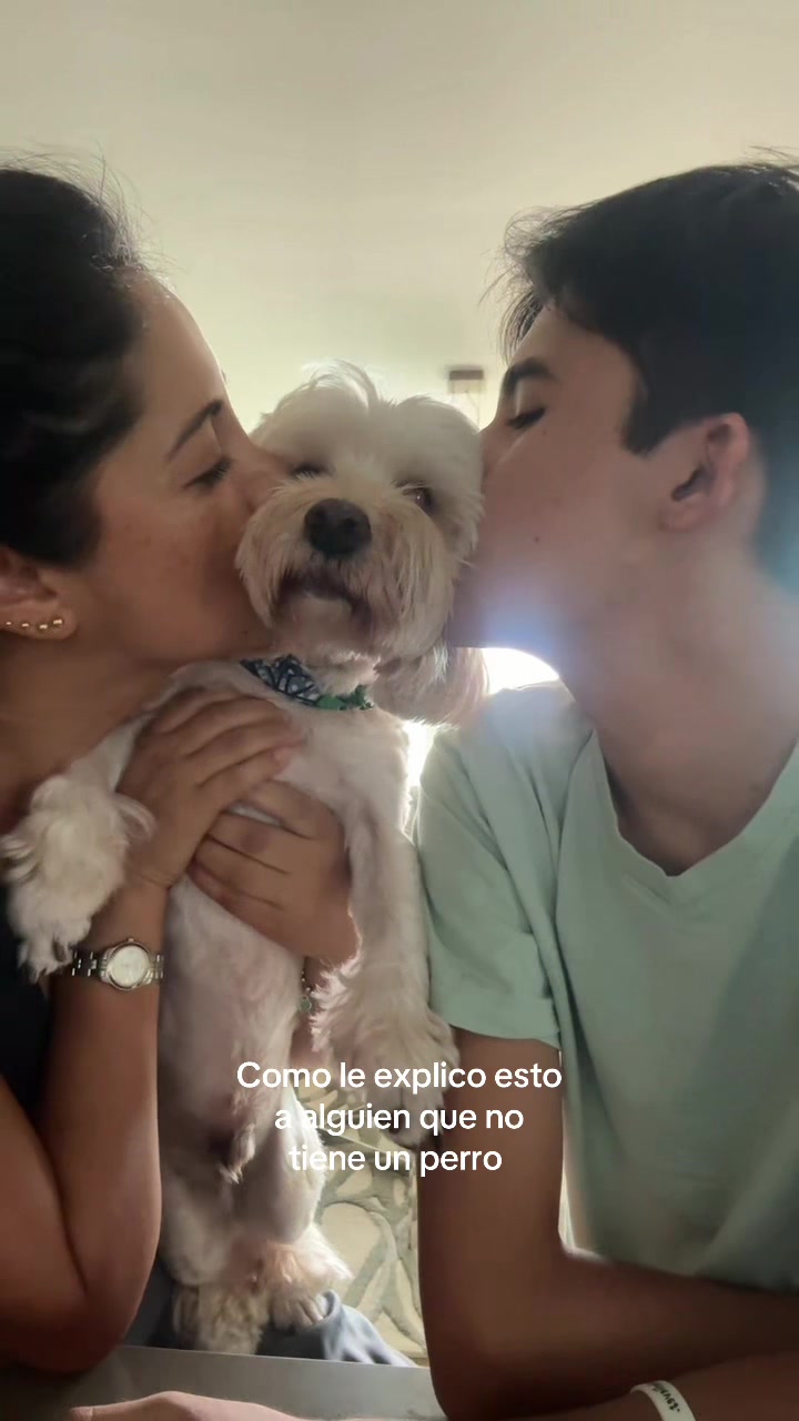 @Beyli
