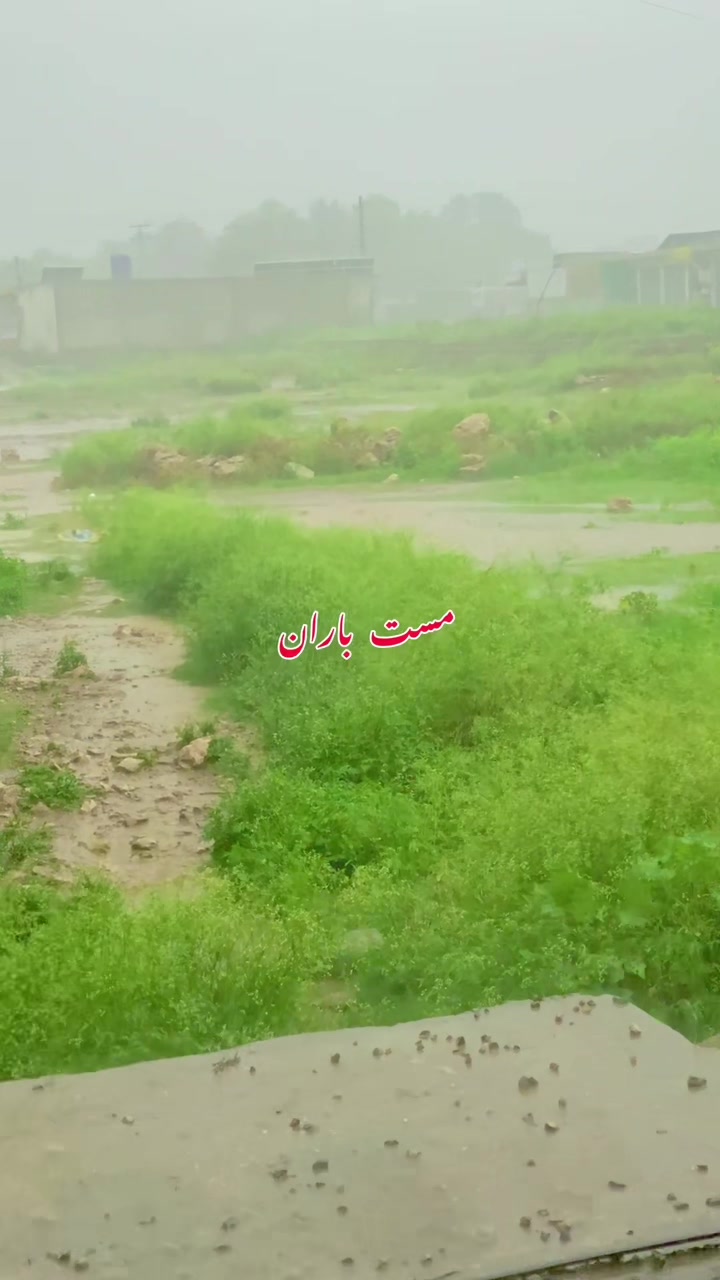 @عبدالقدوس وفا