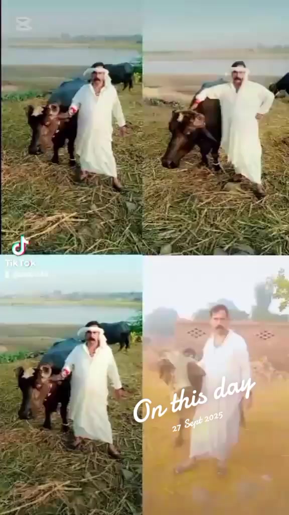 @Sab Gujjar 😍
