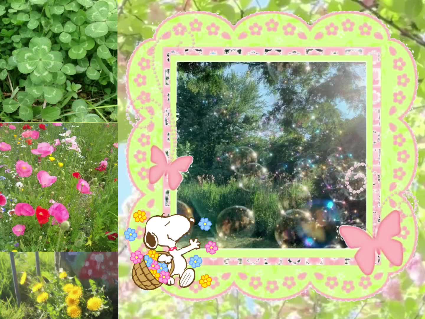 @๐ซ๐๐ หหห โก หหห