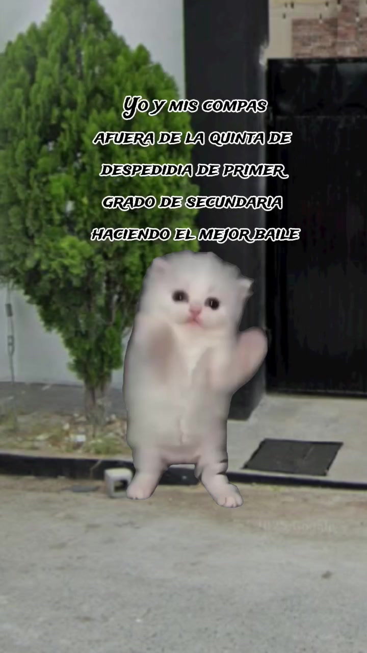 @๐๐๐๐๐๐๐ค