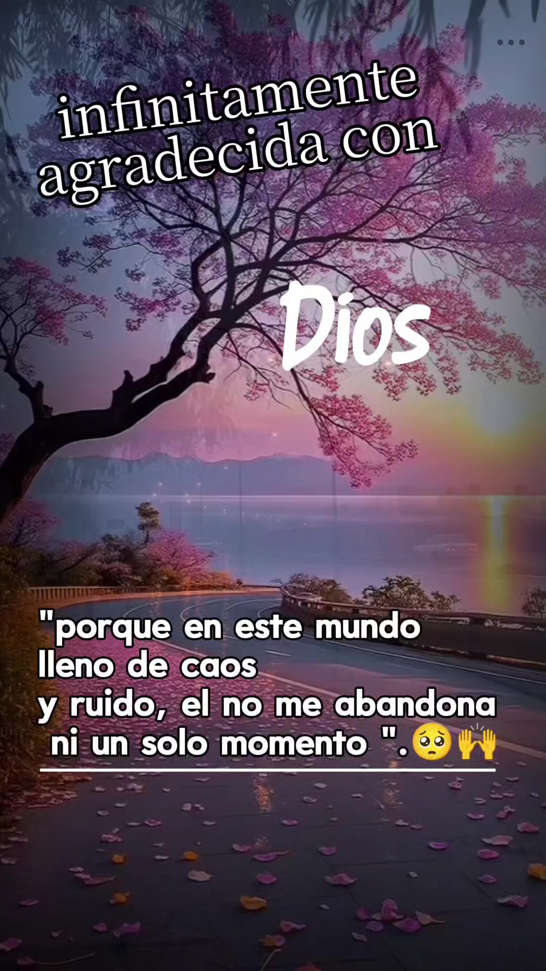 @Cielo