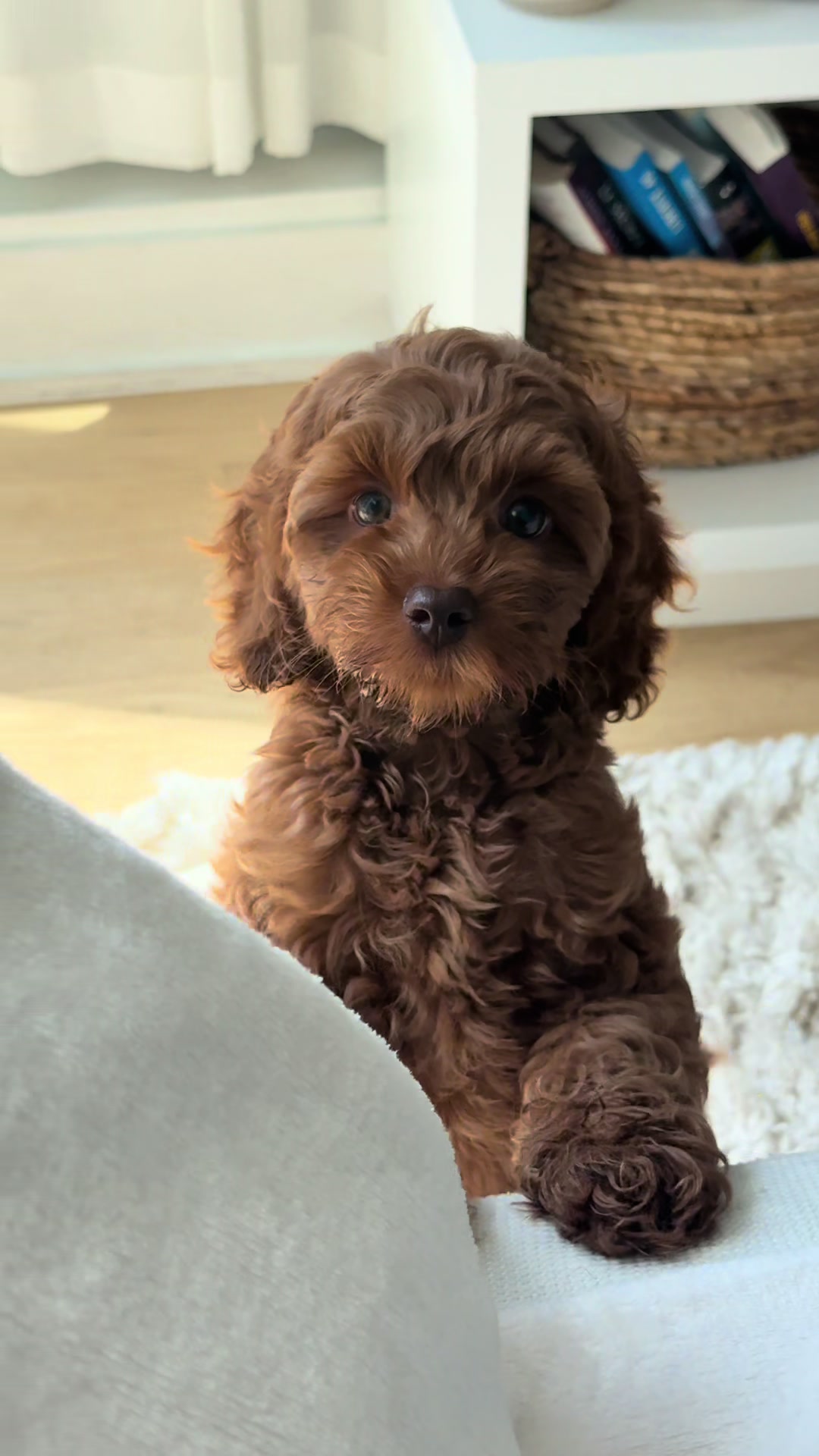 @Mégane:)