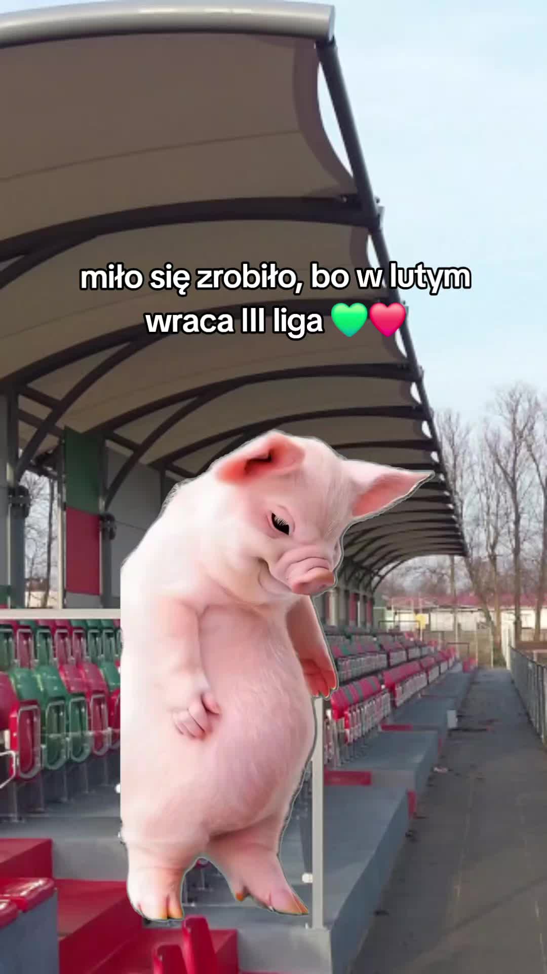 @RKS Lechia Tomaszów