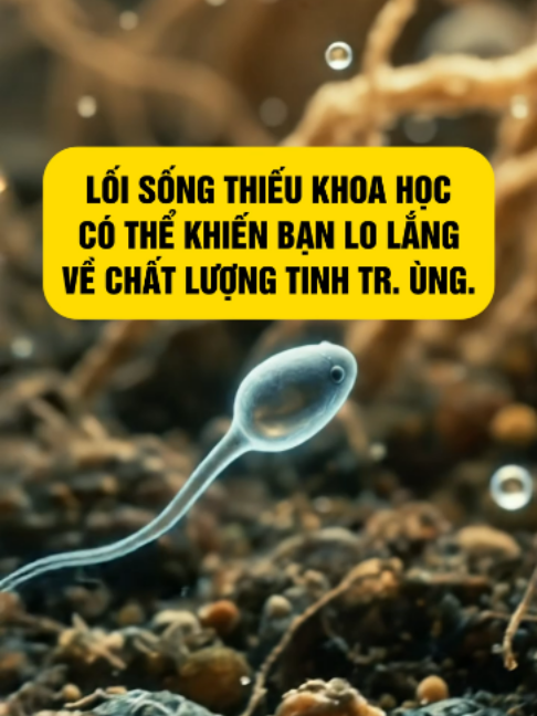 @Phùng Hà canh trứng mát tay