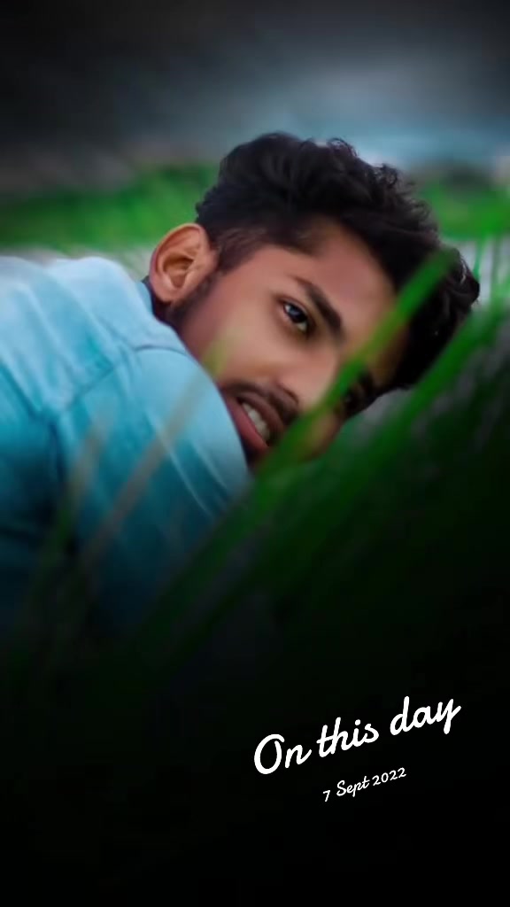 @Tiger Race