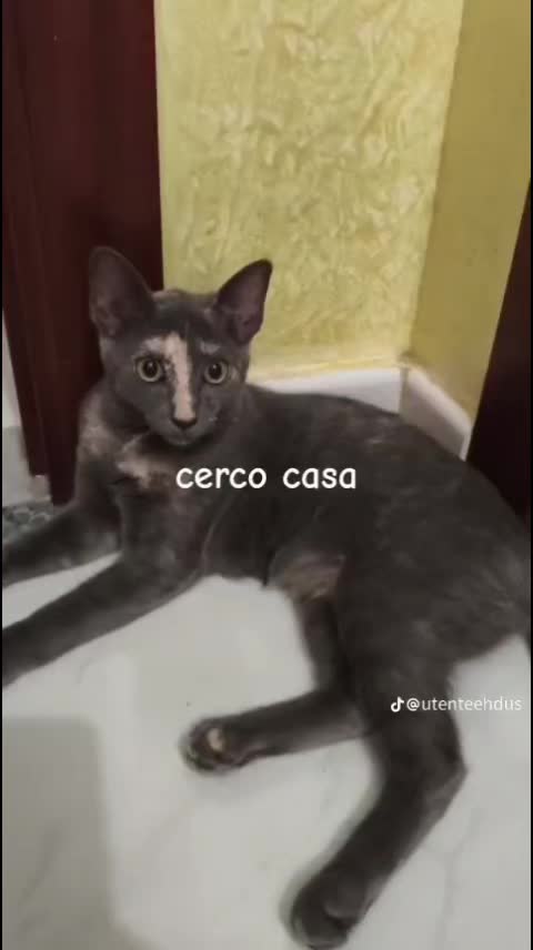 @Francesca Di Maio