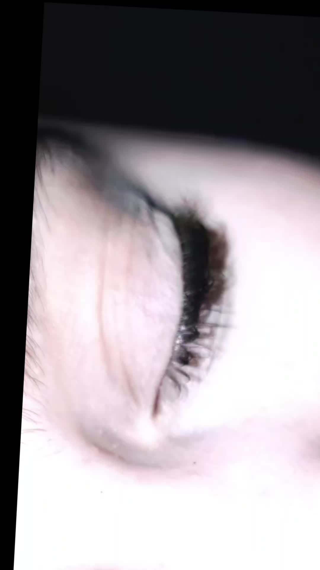 @kimipalf07