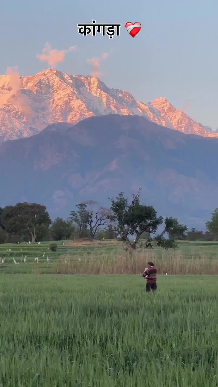 @Nav from Saanjha Punjab