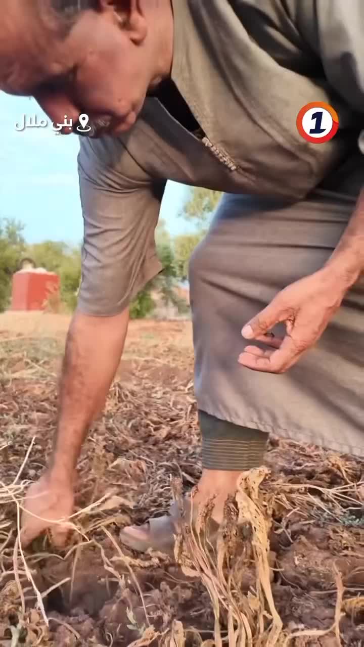 @mohamed.barcelona0