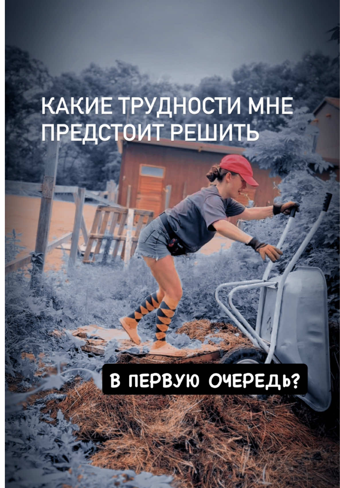 @Вера/лошади/обучение лошадей