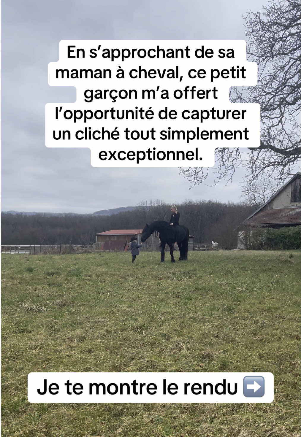 @shoot_equestres
