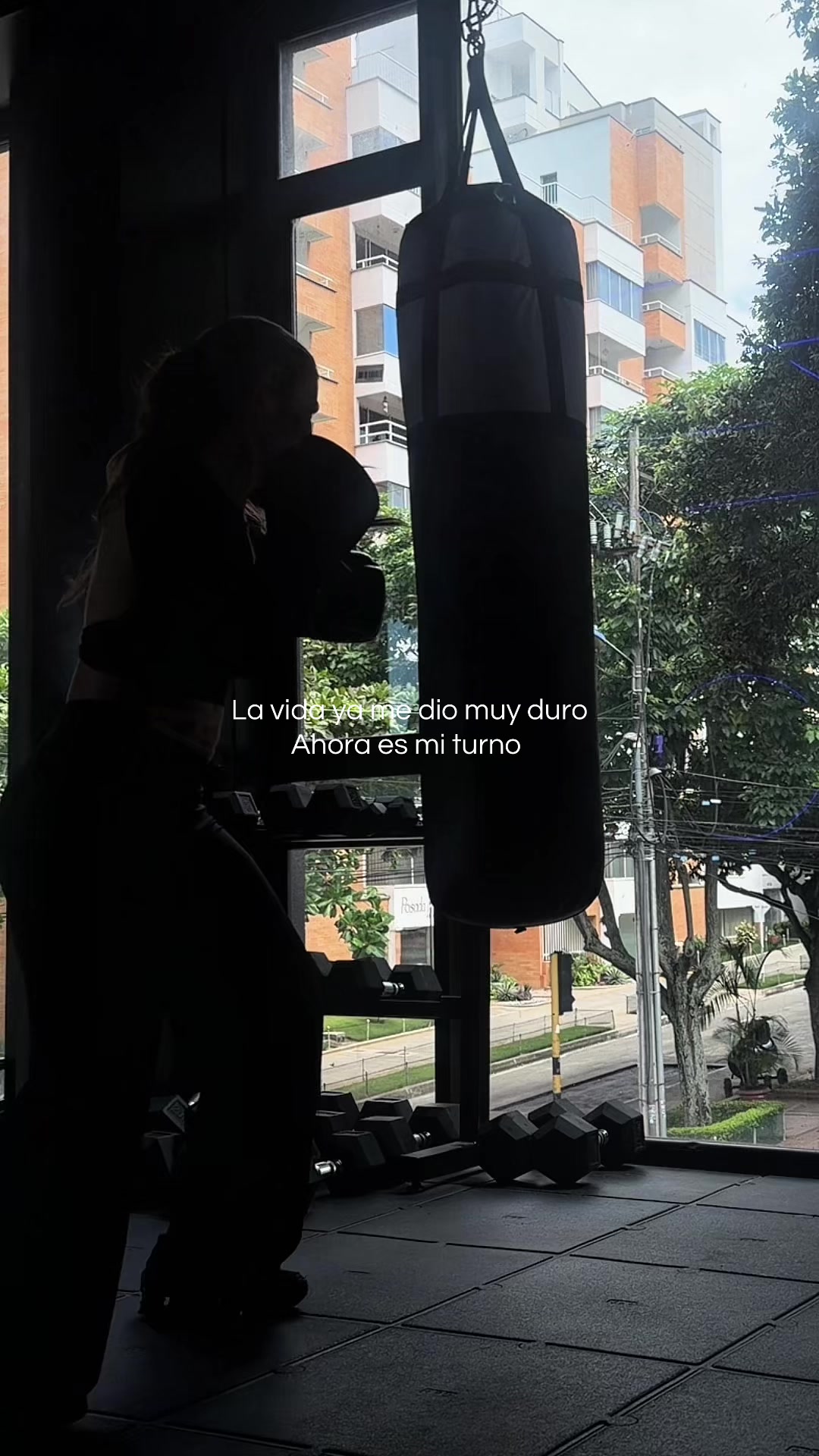 @Daniela Arcila