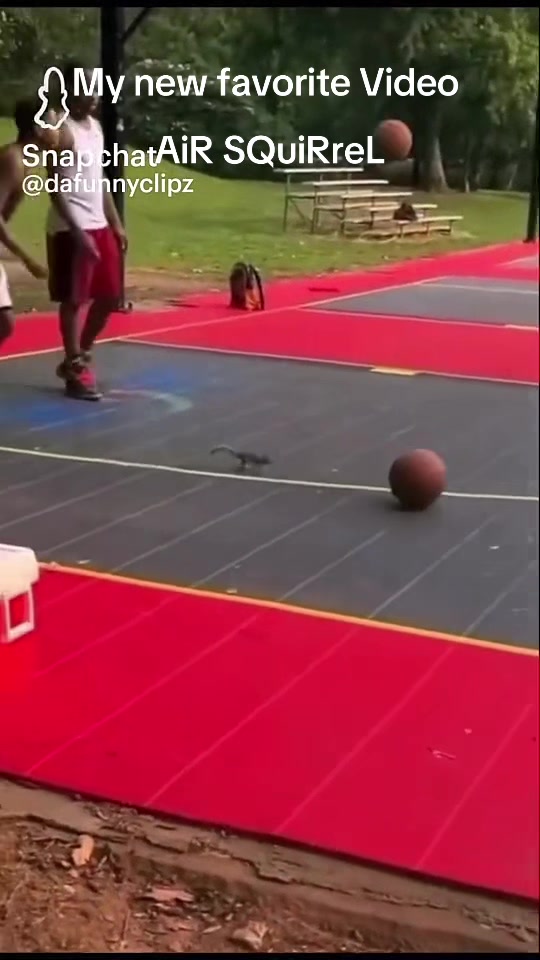 @lil_homie