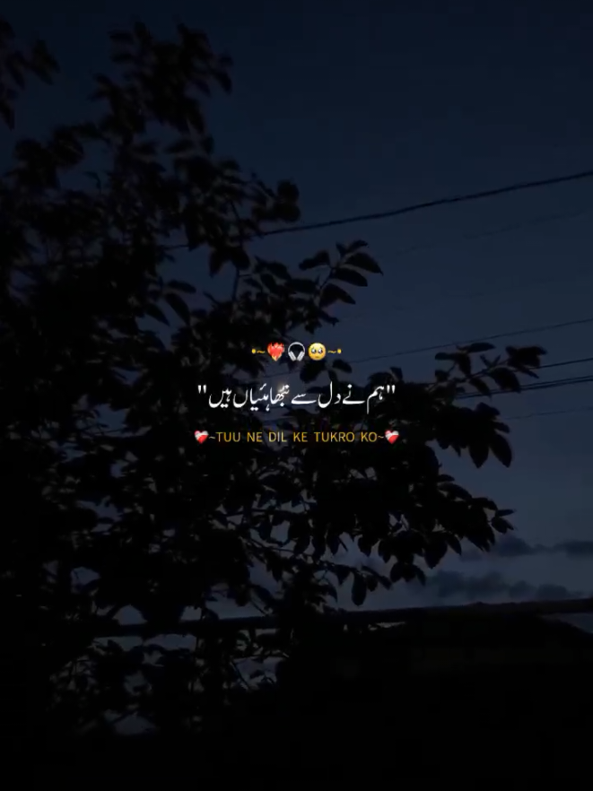 @<3🫀🎧