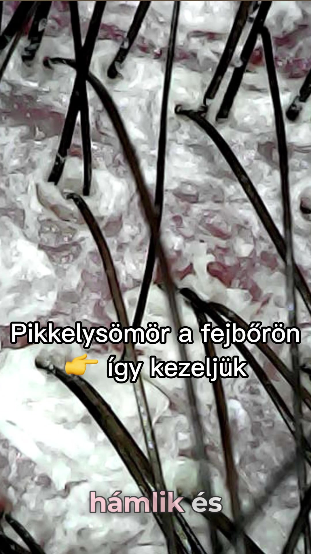 @P&aacute;ll Patr&iacute;cia Bőrterapeuta