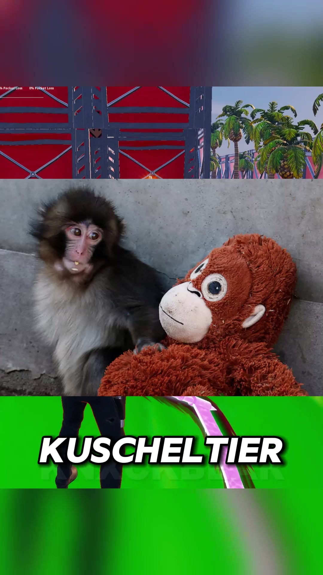 @Knxckbear