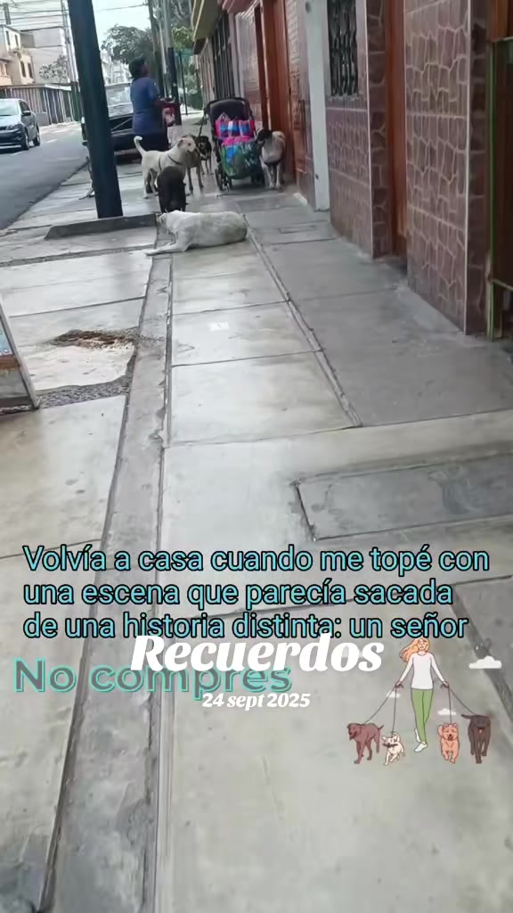 @Perritos Voladores