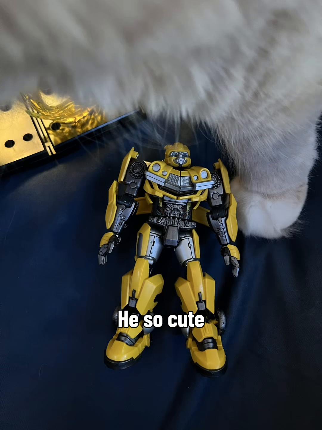 @Aster_is_literally_Starscream