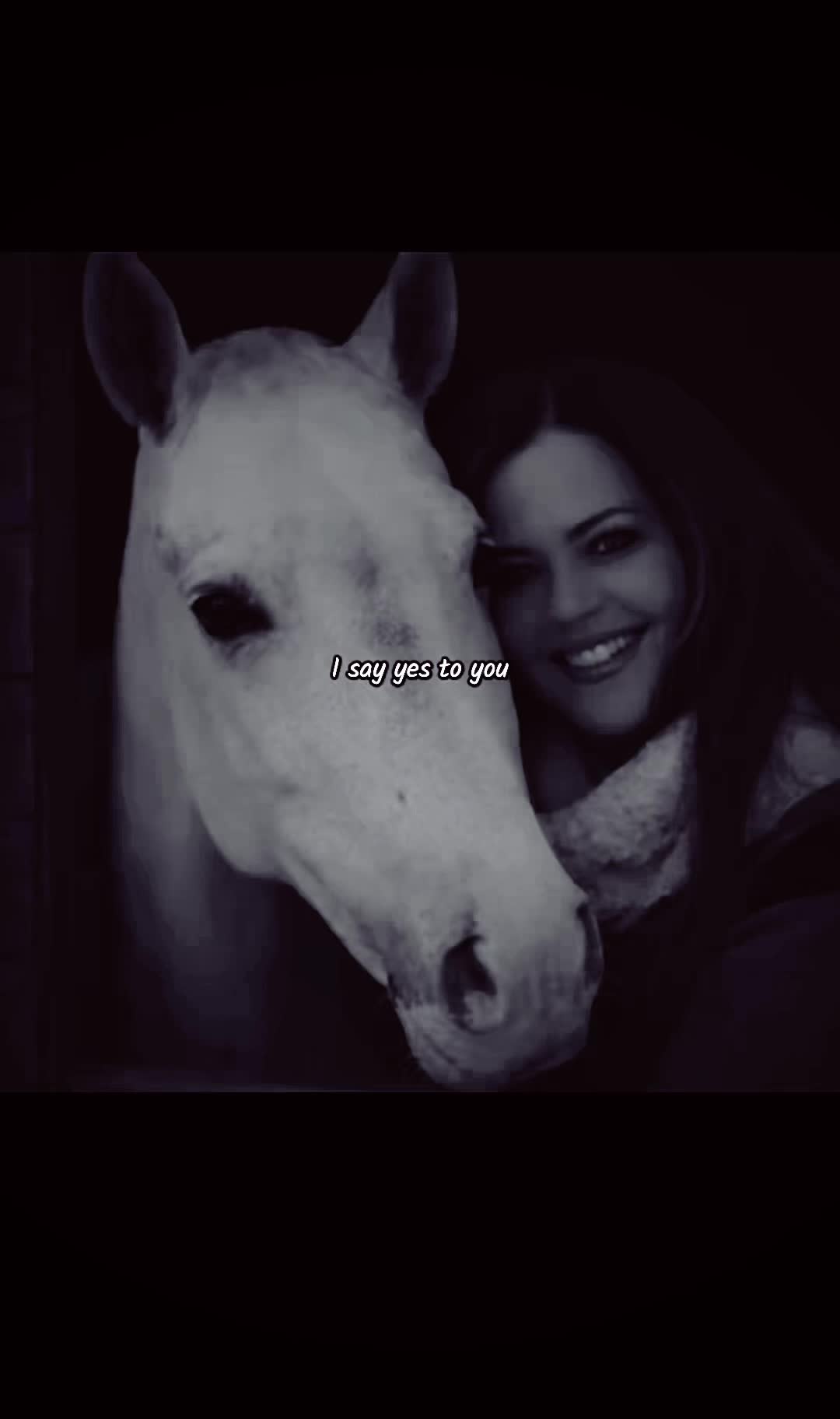@Becky O&rsquo;Neill Equestrian
