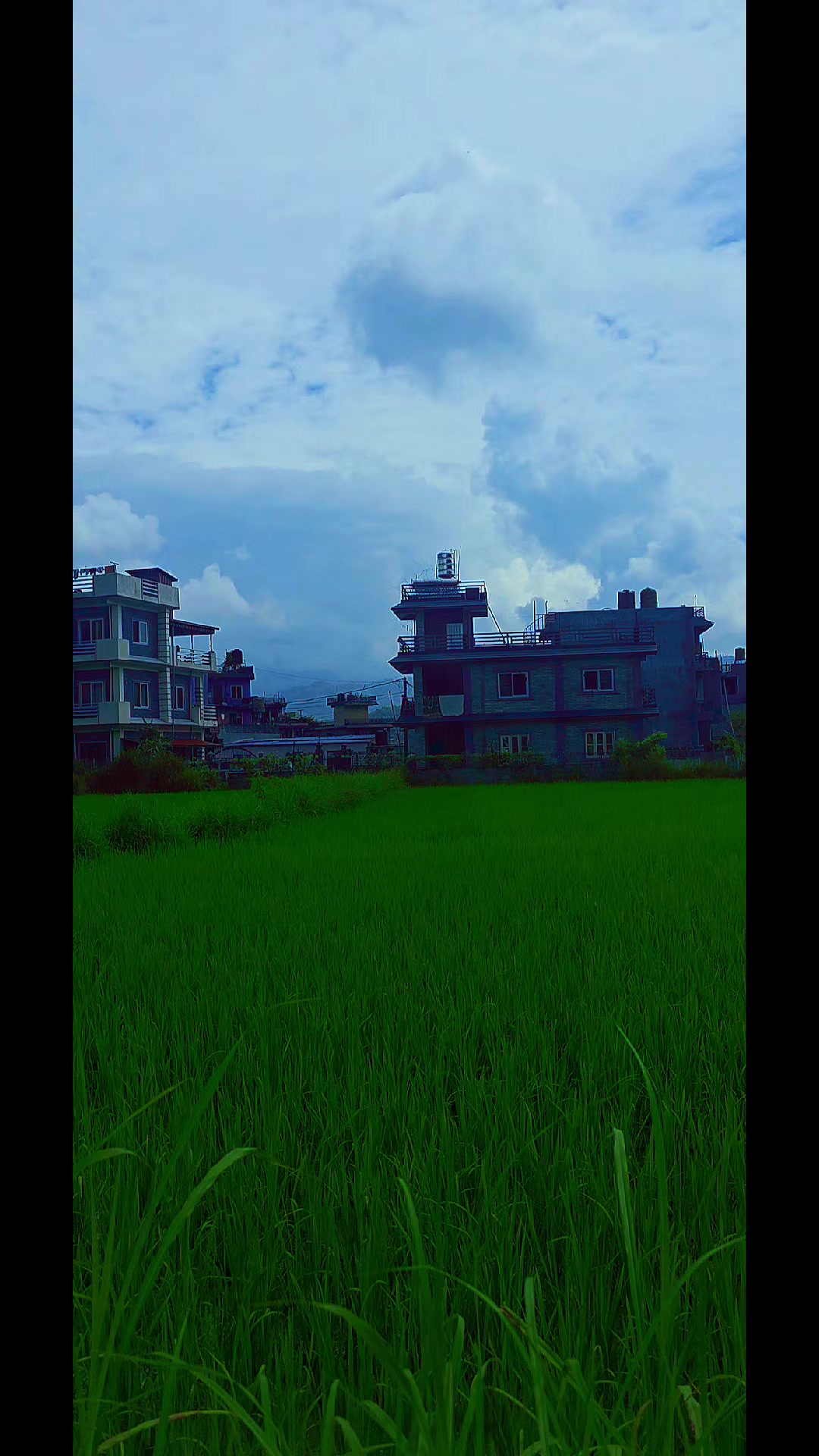 @नताशा