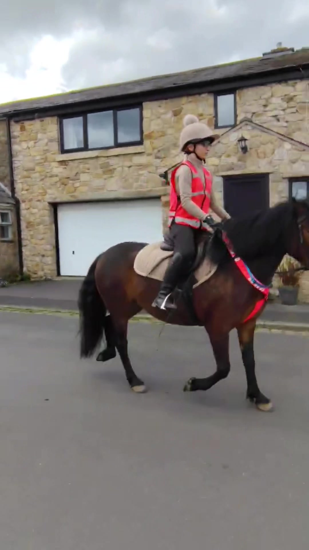 @Freya_horses
