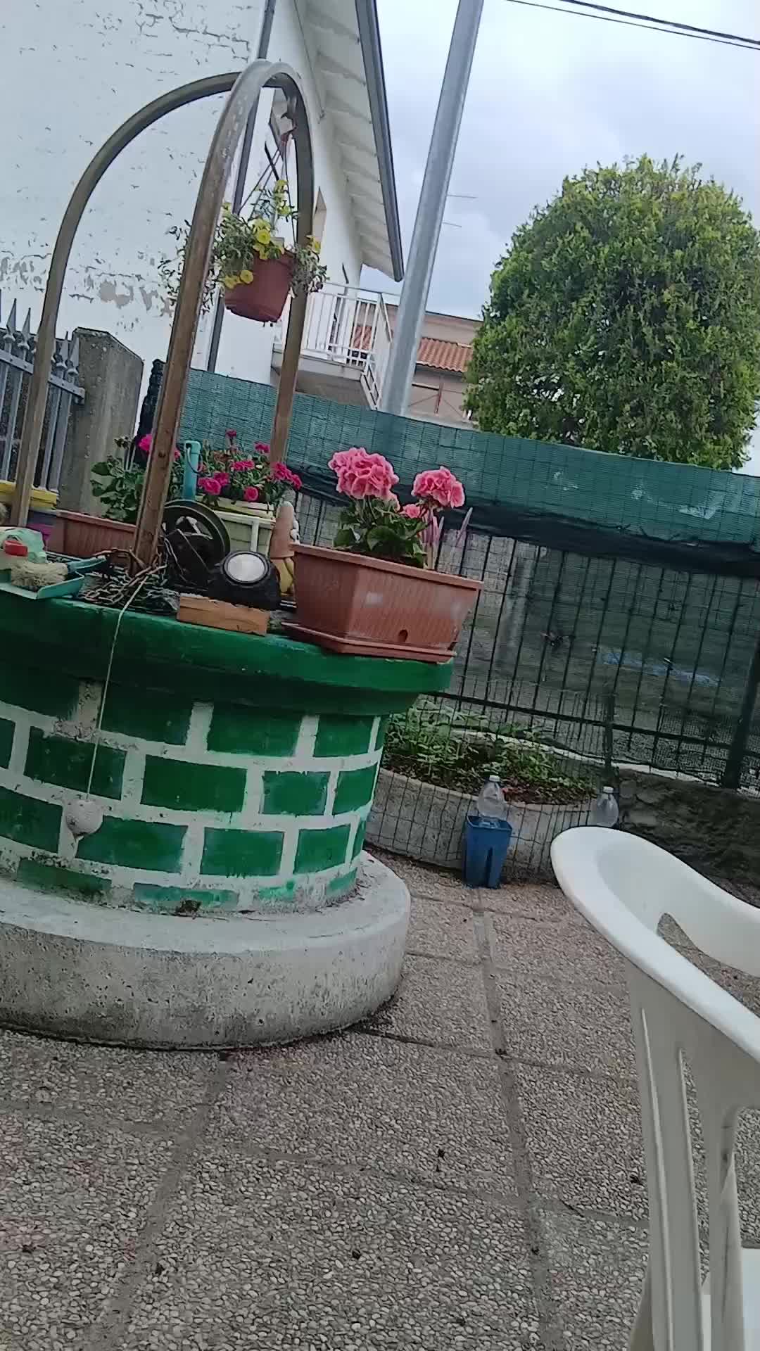 @Maria grazia
