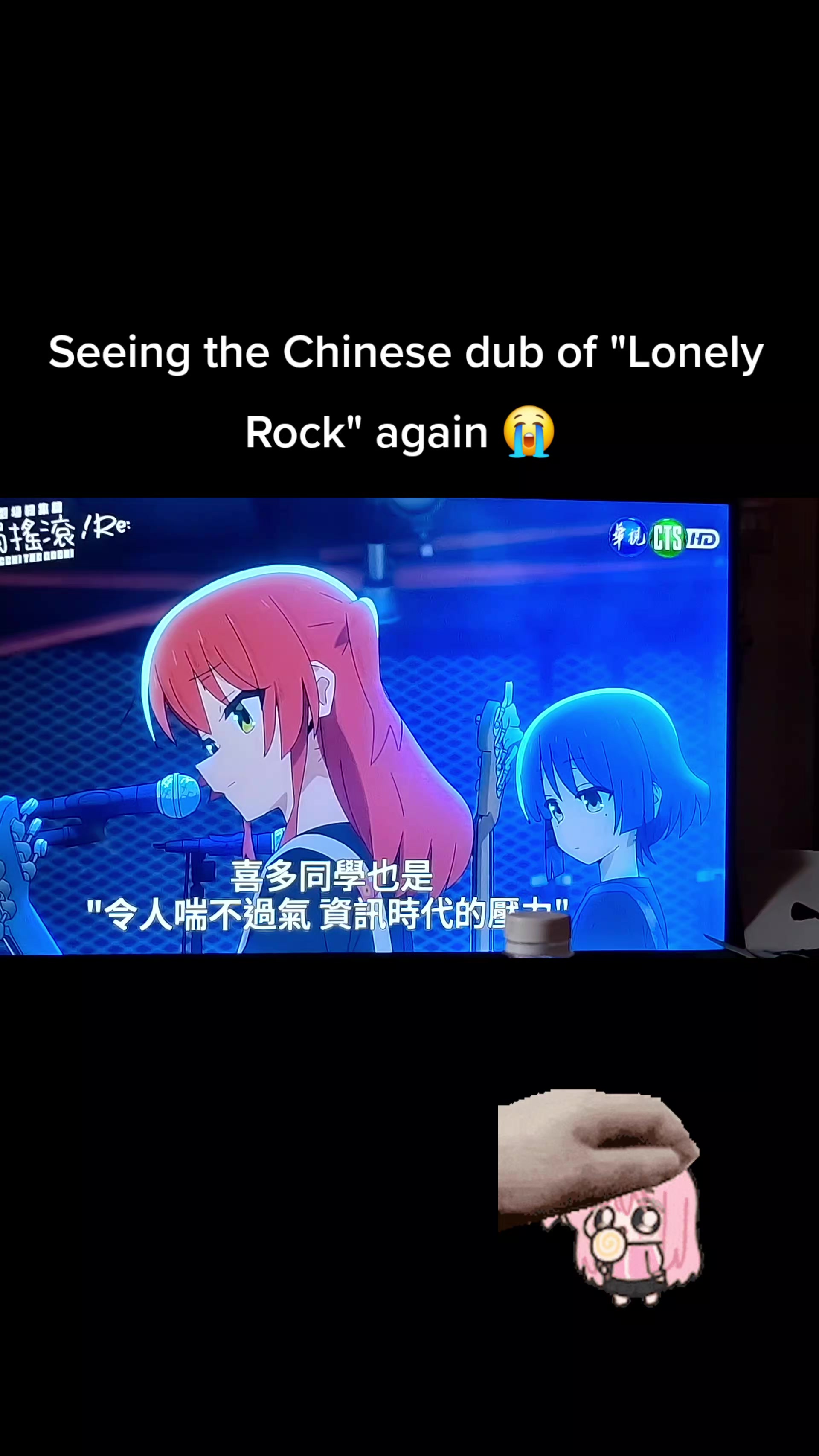 @My daughter's dog Bocchi✅️
