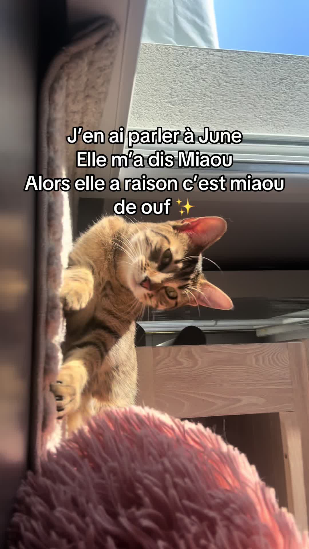 @Lisa_mbt