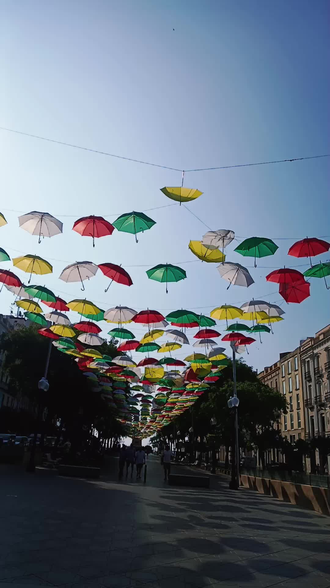 @🦋A.B_Gr🦋