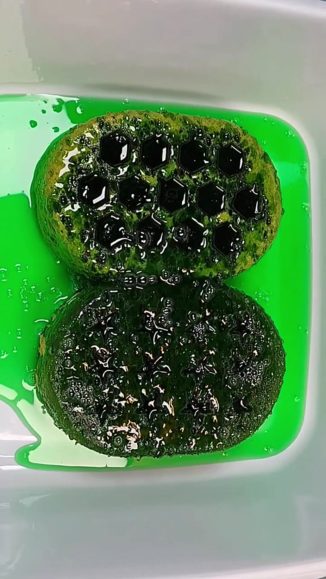 @HD Spongetok