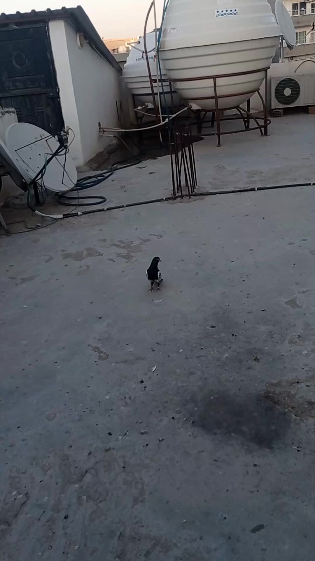 @deniz kayıkcı 73