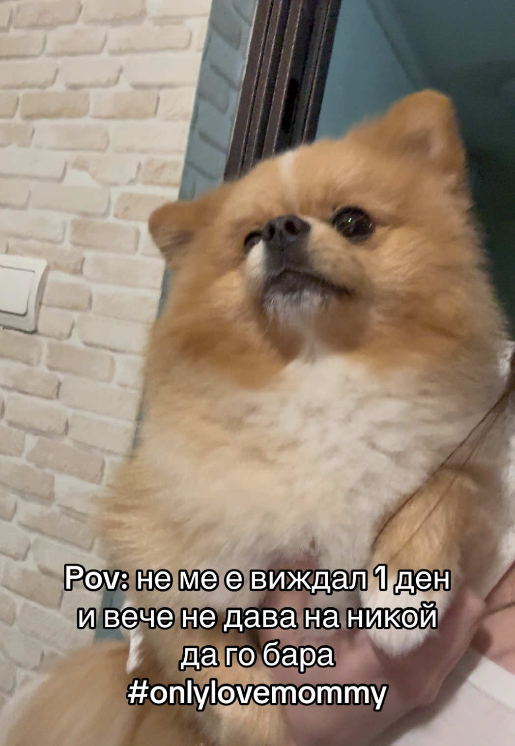 @𝐈𝐕𝐄𝐋𝐈𝐍𝐀