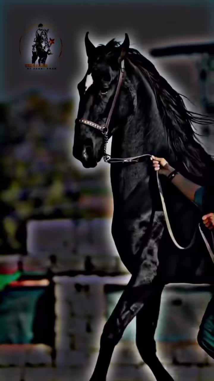 @⫸𝙈𝙞𝙍𝙯𝘼✫𝙎𝙖𝙍𝙆𝙖𝙍✫⫷