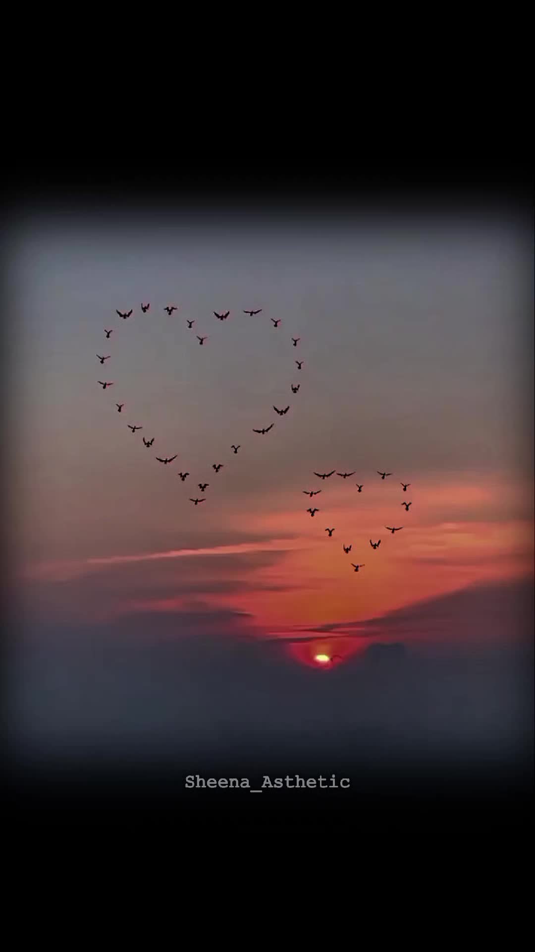 @💞𝓢𝓱𝓮𝓮𝓷𝓪 𝓦𝓻𝓲𝓽𝓮𝓼 💞