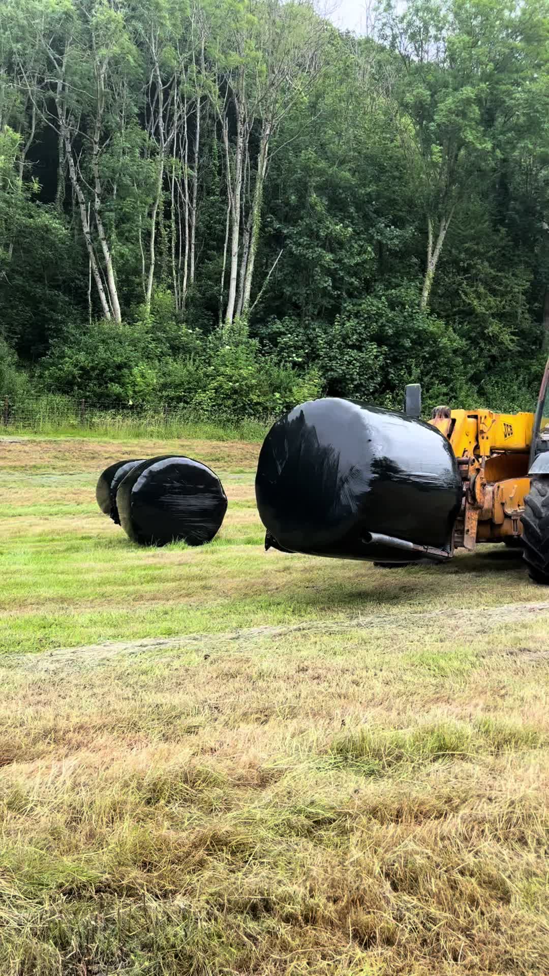 @HariWhitfield 🏴🚜
