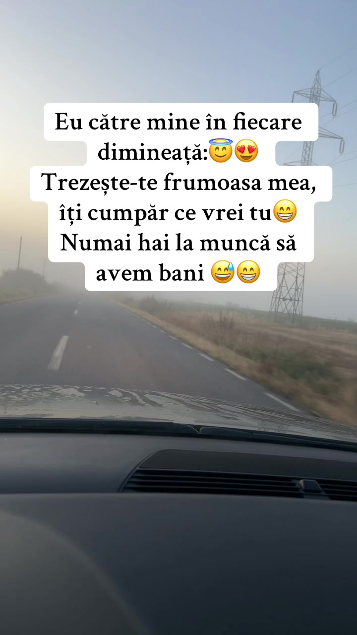 @Balaceanu Larisa
