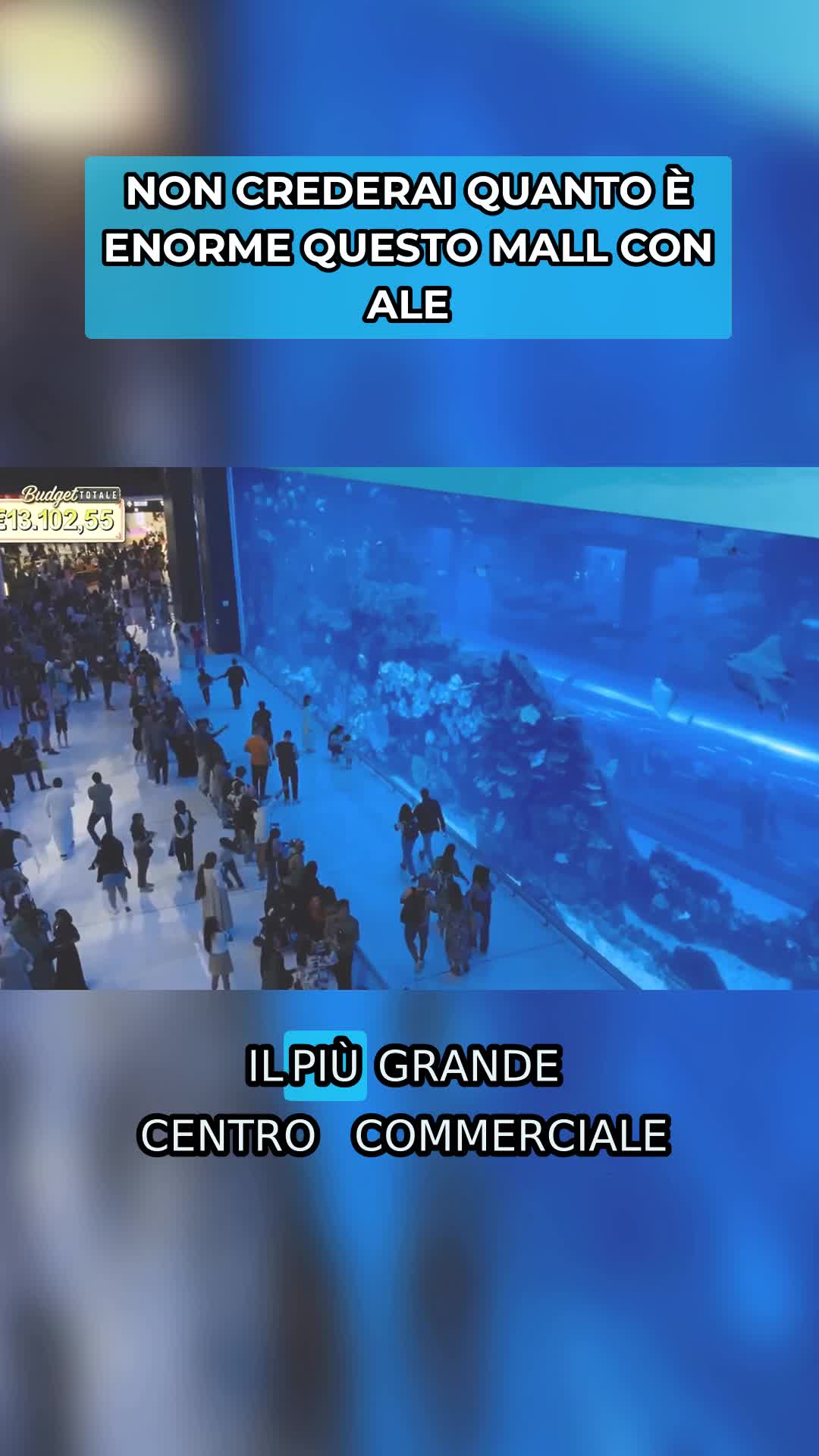 @adg.speciale