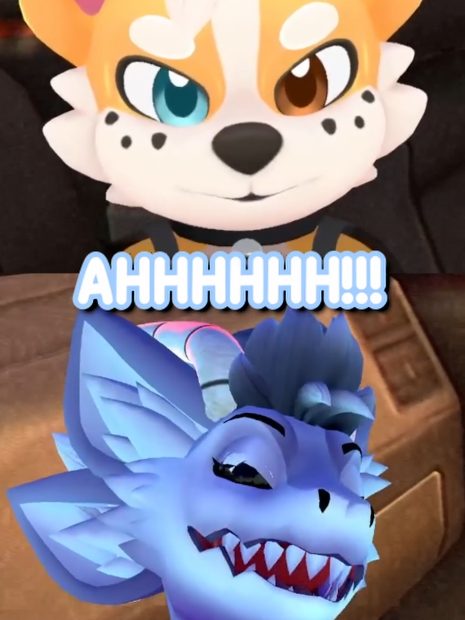 @Corgi