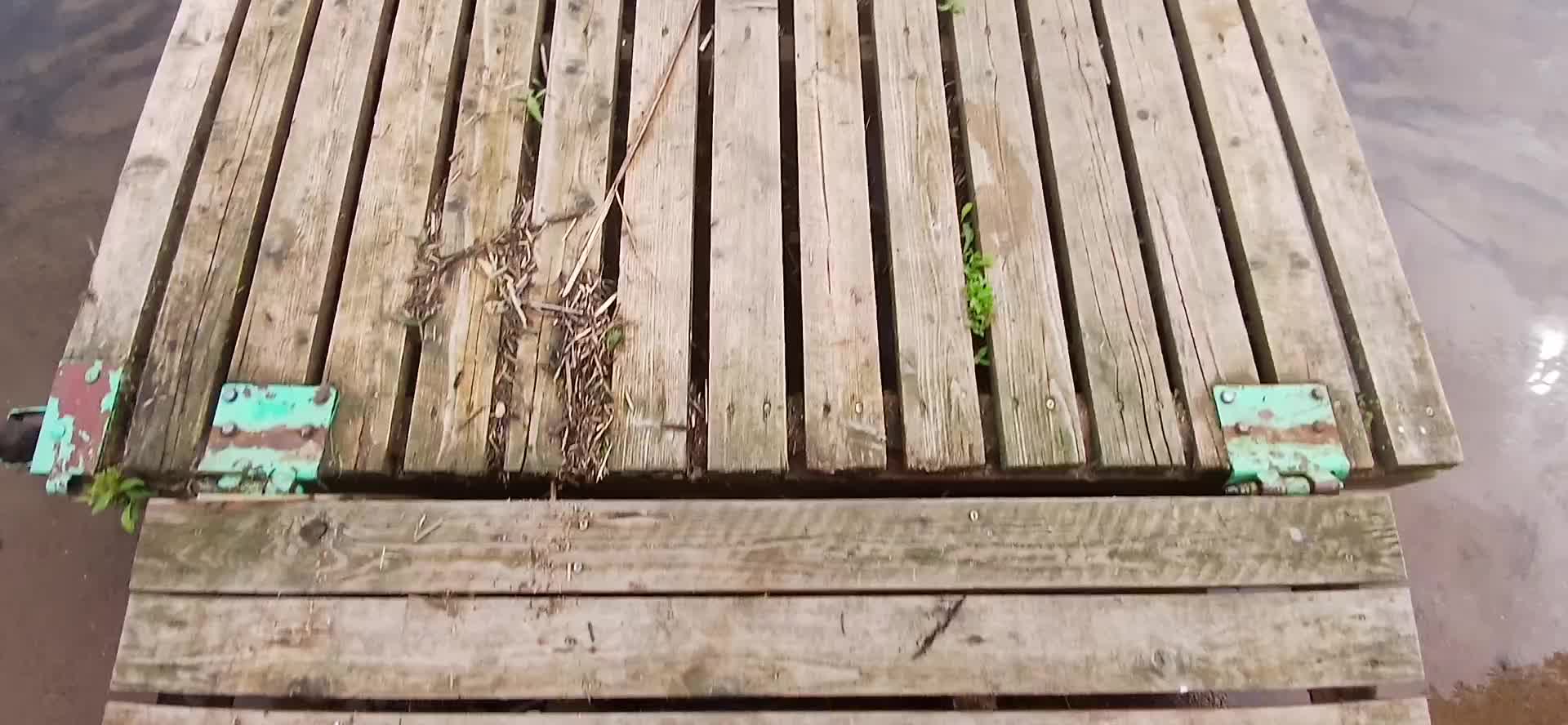 @жизнь.