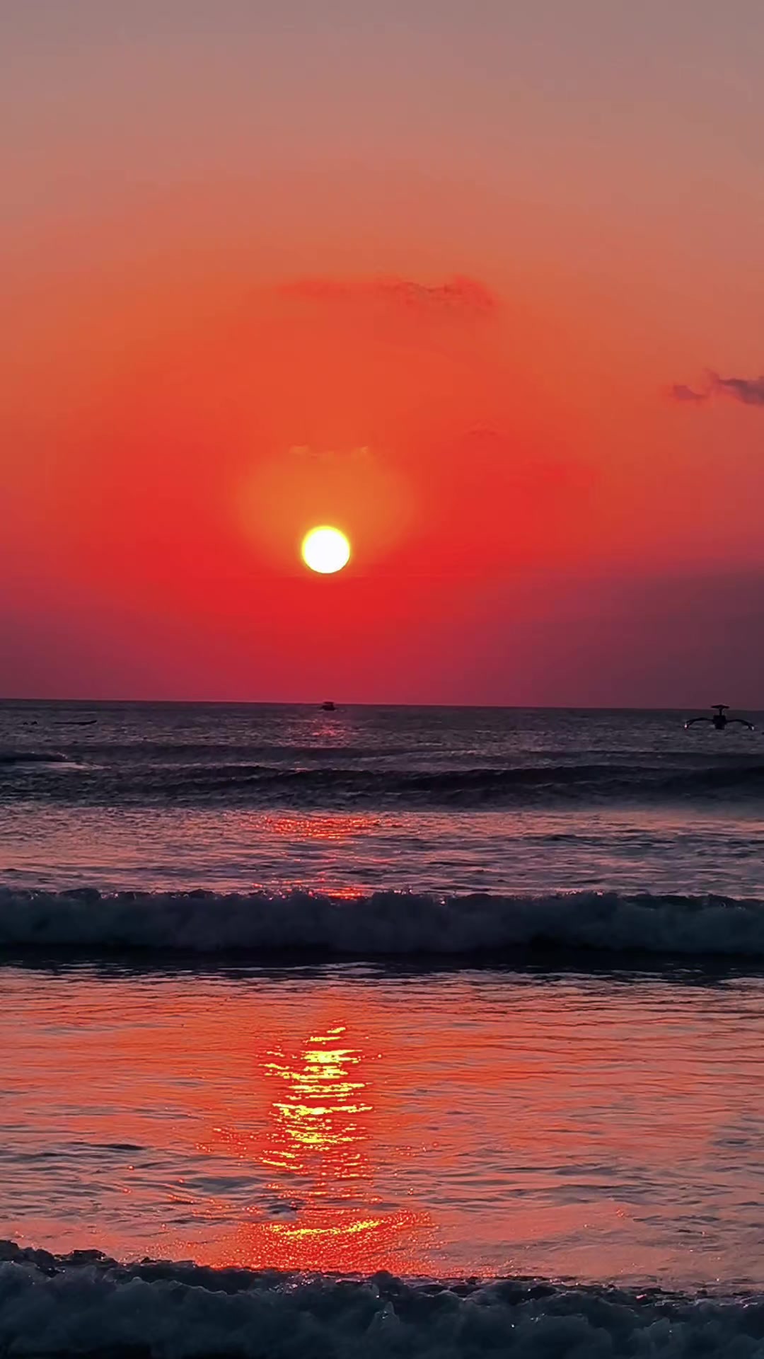 @๐ LIVY BALI ๐