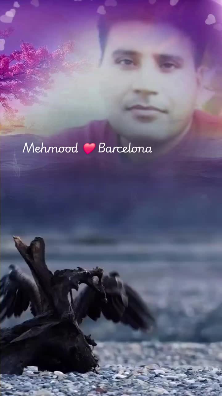 @Mehmood