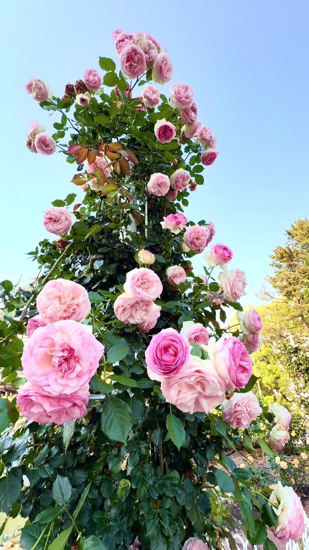 @moriwaki002384