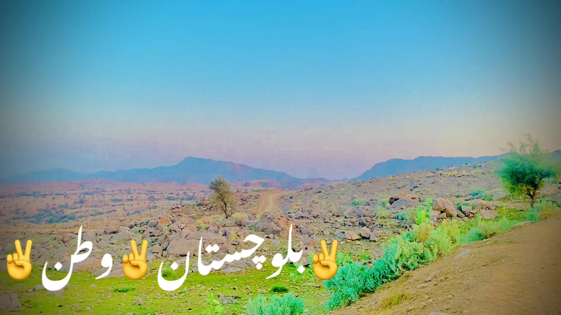 @ammir marri